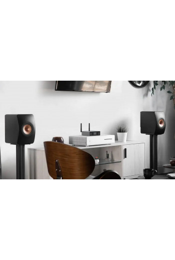 Arylic S50 Pro