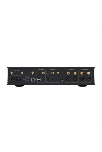 EverSolo DMP-A8 Back