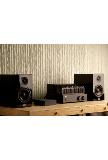 WiiM Pro Plus WiiM Pro Plus