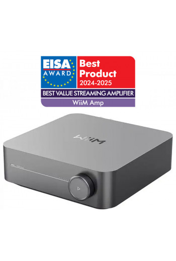 WiiM Amp Gray WiiM Amp Gray