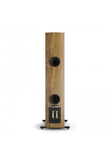 Dali Rubikore 6 Natural Walnut