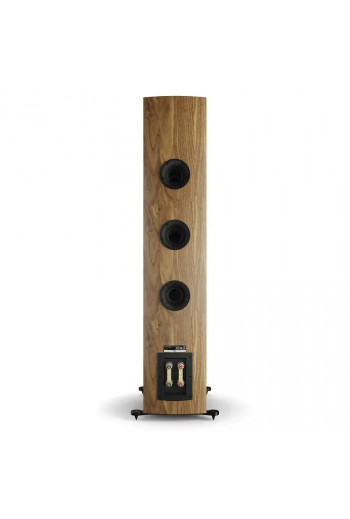 Dali Rubikore 8 Natural Walnut