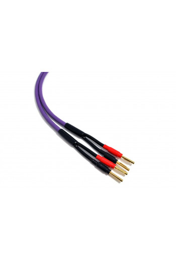 Melodika Purple Speaker cable 2x 2,5mm2