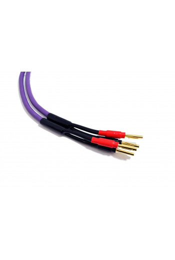 Melodika Purple Speaker cable 2x 4,0mm2