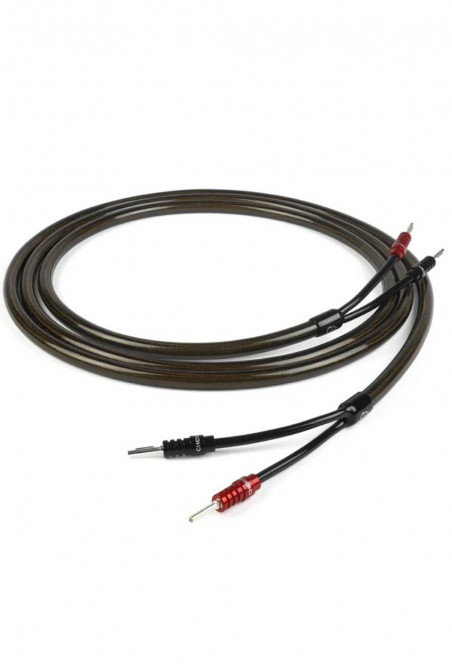 CHORD EpicX Speaker Cable ban-ban Pair 2.5m
