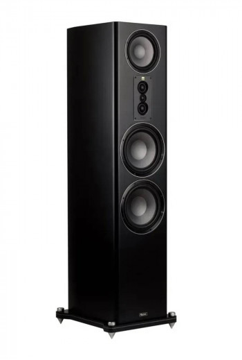 Signature 999 pairs Black