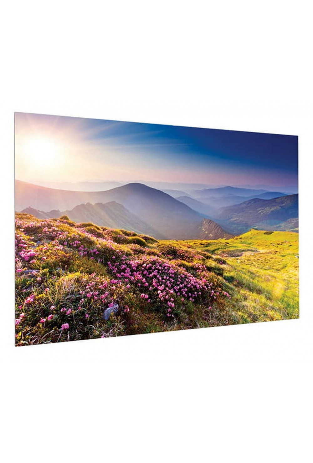 Projecta FullVision 169x300 см