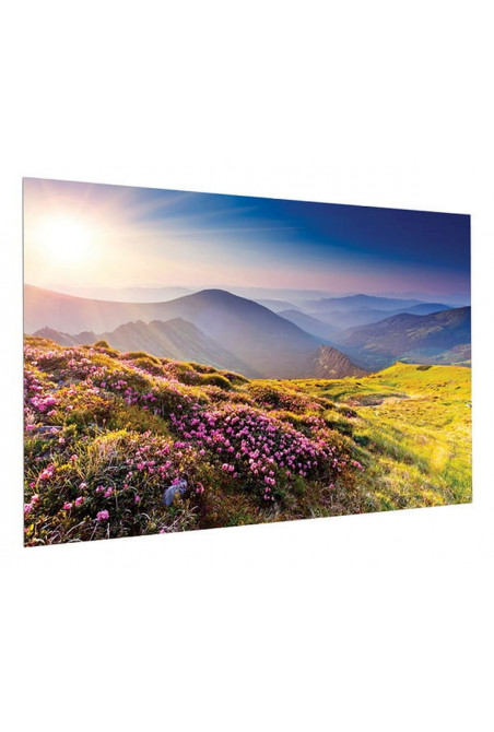 Projecta FullVision 169x300 см